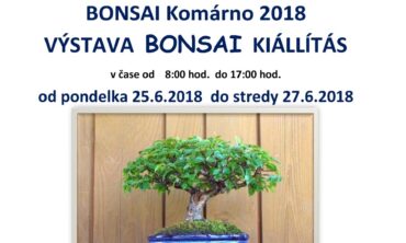 Výstava Bonsai Komárno 2018