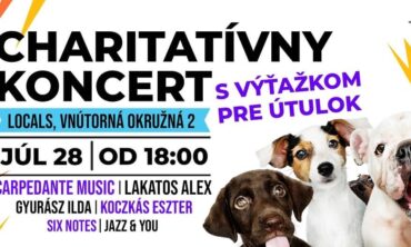 Dobročinný koncert